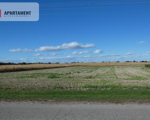 Działki z warunkami zabudowy blisko jezior i lasów