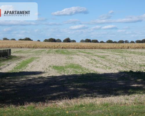 Działki z warunkami zabudowy blisko jezior i lasów