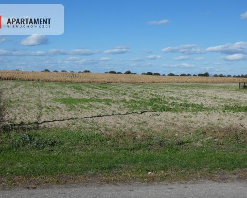 Działki z warunkami zabudowy blisko jezior i lasów