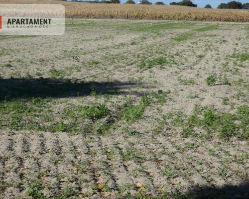 Działki z warunkami zabudowy blisko jezior i lasów