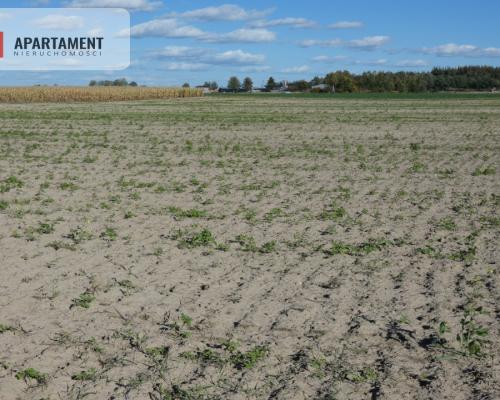 Działki z warunkami zabudowy blisko jezior i lasów