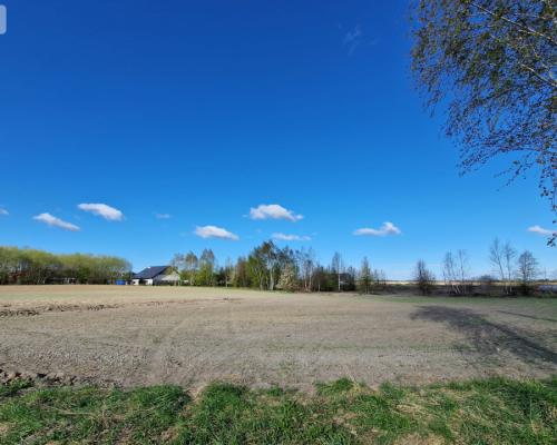 Działka w Zajezierzu 300 m od jeziora.