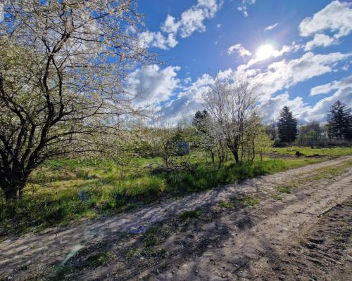 Działka w Zajezierzu 300 m od jeziora.