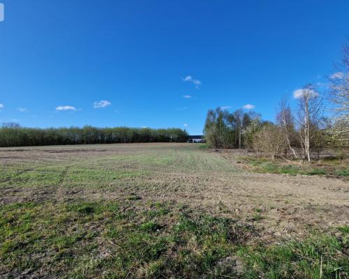 Działka w Zajezierzu 300 m od jeziora.