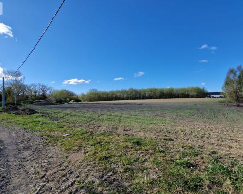 Działka w Zajezierzu 300 m od jeziora.