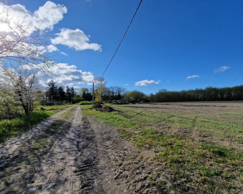 Działka w Zajezierzu 300 m od jeziora.