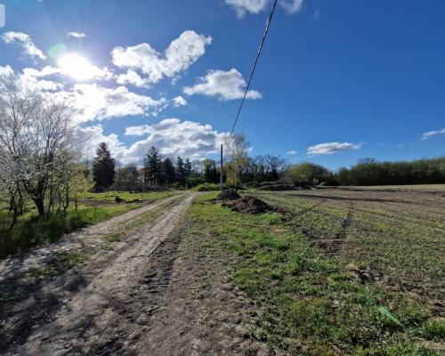 Działka w Zajezierzu 300 m od jeziora.