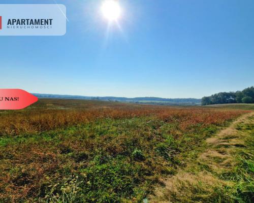 Tylko u Nas! 110 ha w jednym kawałku! Nowa cena!