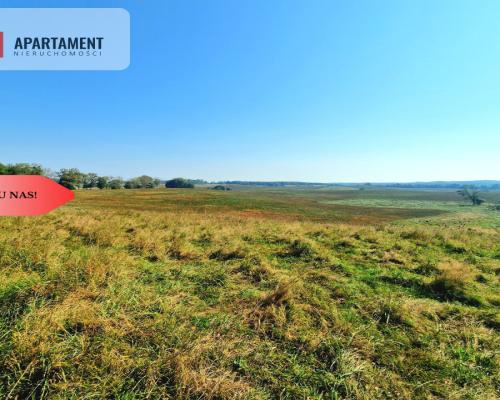 Tylko u Nas! 110 ha w jednym kawałku! Nowa cena!