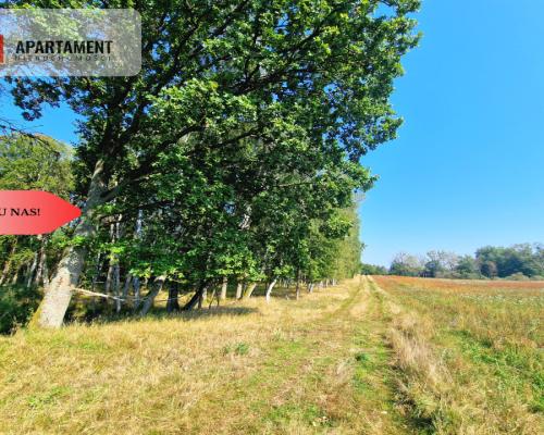 Tylko u Nas! 110 ha w jednym kawałku! Nowa cena!