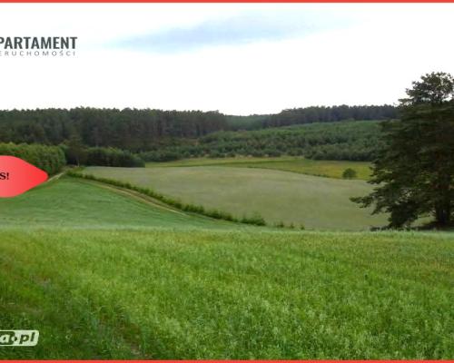 Tylko u Nas! Wyjątkowe działki z WZ-Tuszkowy