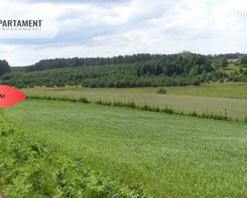 Tylko u Nas! Wyjątkowe działki z WZ-Tuszkowy