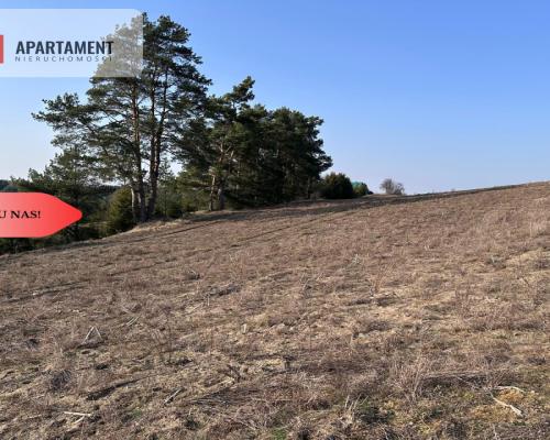 Tylko u Nas! Wyjątkowe działki z WZ-Tuszkowy