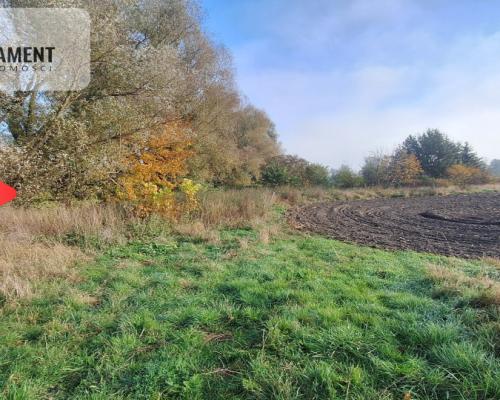 Działka Siedliskowa- Szpęgawa koło Tczewa