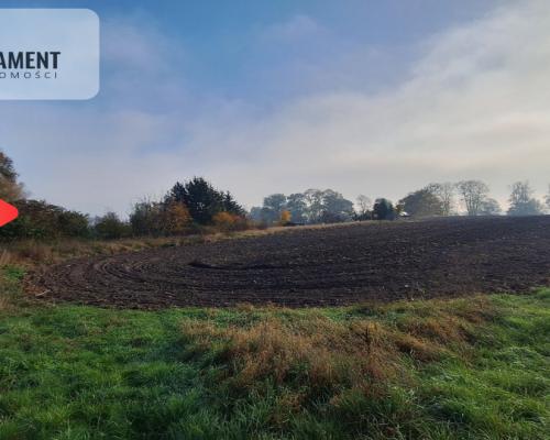Działka Siedliskowa- Szpęgawa koło Tczewa