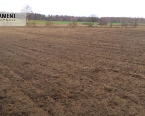 Działka w cichej i spokojnej okolicy