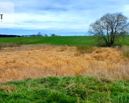 Działki inwestycyjne, budowlane