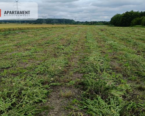 Działka budowlana 1031 m² – Kraśniewo!!!