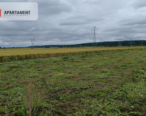 Działka budowlana 1031 m² – Kraśniewo!!!