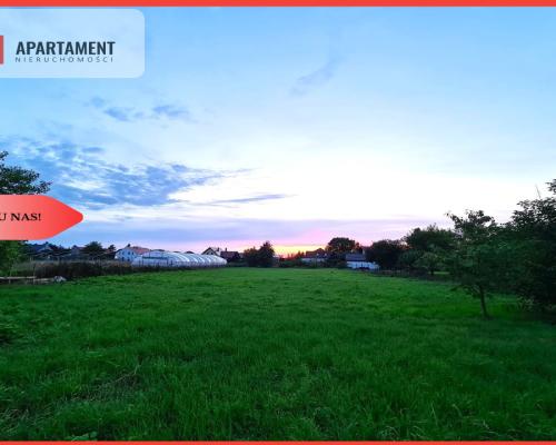 Duża działka w centrum Czernicy