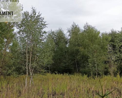 Atrakcyjna cicha i zielona  działka w Grudziądzu!!