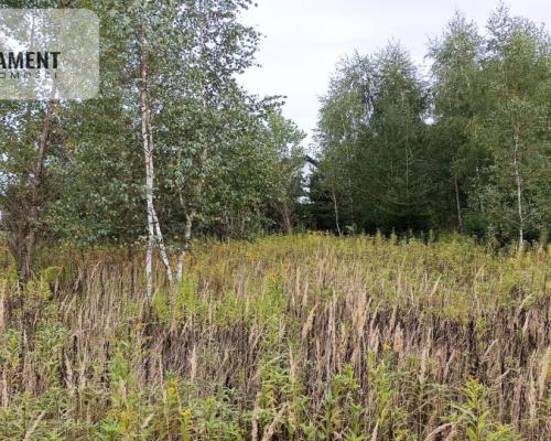 Atrakcyjna cicha i zielona  działka w Grudziądzu!!