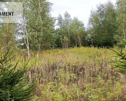 Atrakcyjna cicha i zielona  działka w Grudziądzu!!