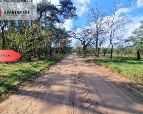 Działka w Szkocji! Głusza! Las! Rzeka!