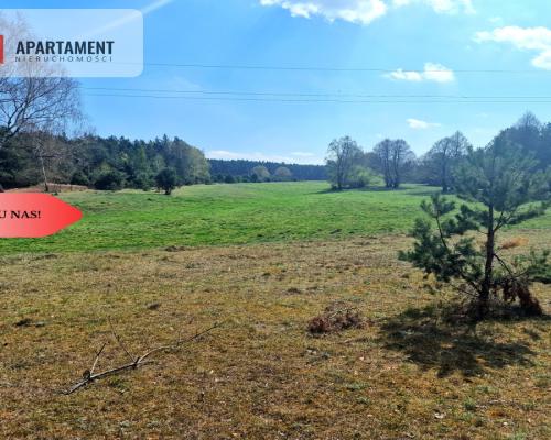 Działka w Szkocji! Głusza! Las! Rzeka!