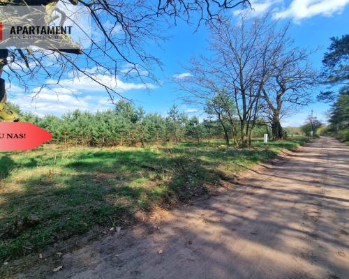 Działka w Szkocji! Głusza! Las! Rzeka!