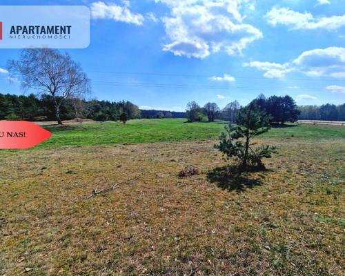 Działka w Szkocji! Głusza! Las! Rzeka!