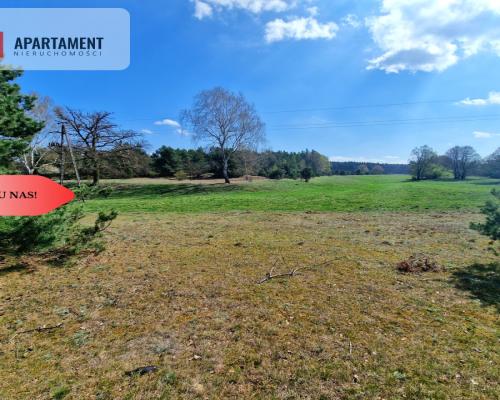 Działka w Szkocji! Głusza! Las! Rzeka!