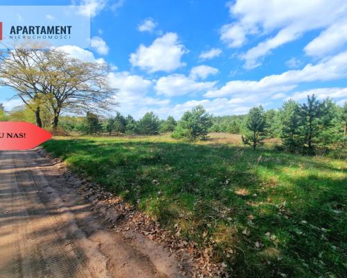 Działka w Szkocji! Głusza! Las! Rzeka!