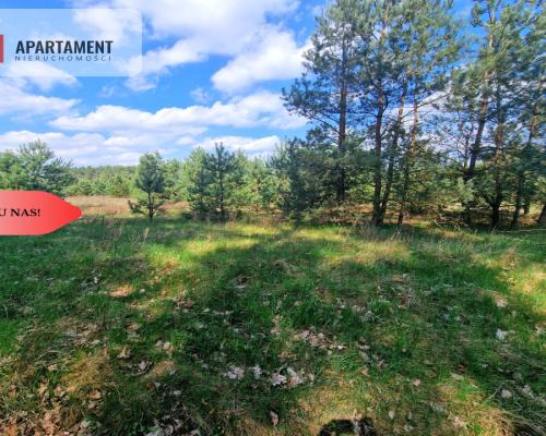 Działka w Szkocji! Głusza! Las! Rzeka!