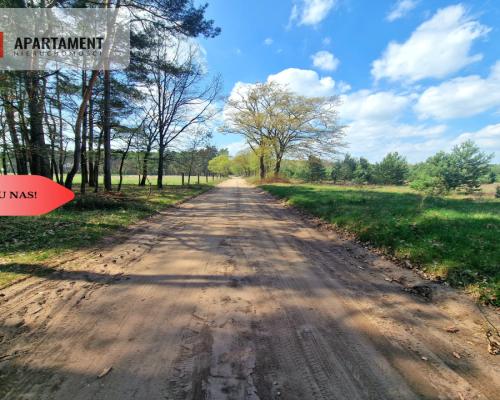 Działka w Szkocji! Głusza! Las! Rzeka!