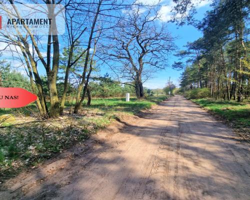 Działka w Szkocji! Głusza! Las! Rzeka!