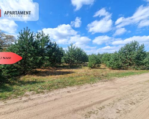 Działka w Szkocji! Głusza! Las! Rzeka!