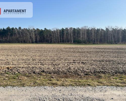 Działka budowlana w Ojrzanowie