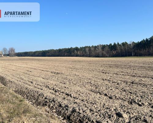 Działka budowlana w Ojrzanowie