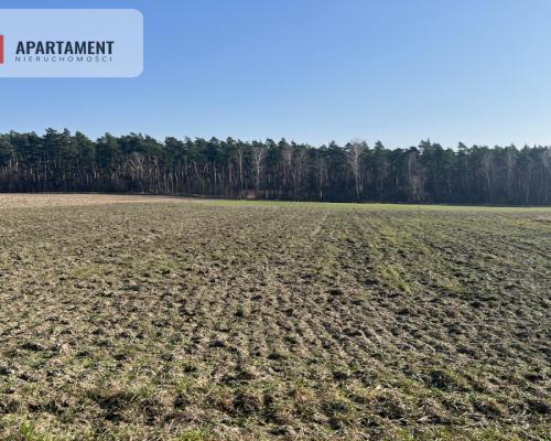 Działka budowlana w Ojrzanowie