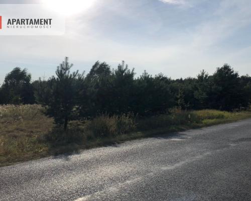 Tylko u nas ! Duża działka blisko lasu !