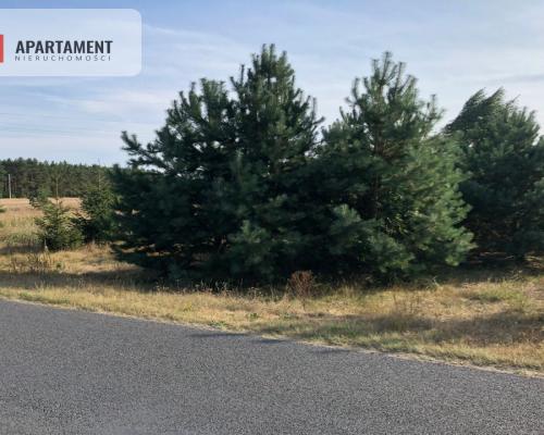 Tylko u nas ! Duża działka blisko lasu !