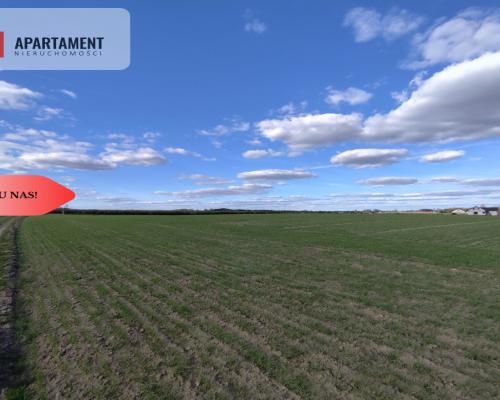 Działki budowlane w Wiśniewie w okolicy Sępólna!