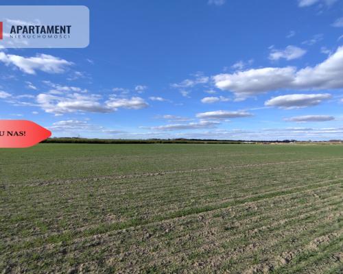 Działki budowlane w Wiśniewie w okolicy Sępólna!