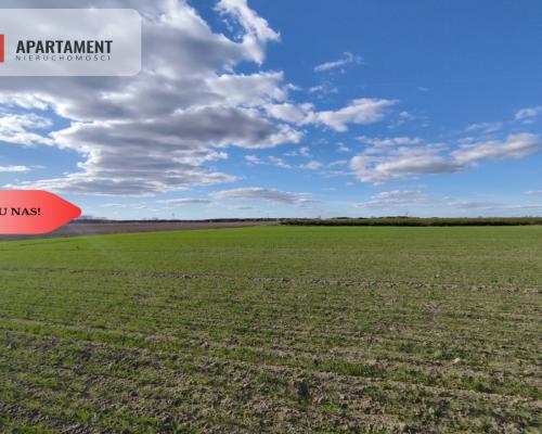 Działki budowlane w Wiśniewie w okolicy Sępólna!