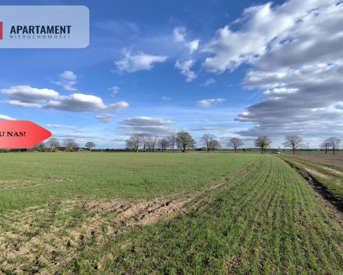 Działki budowlane w Wiśniewie w okolicy Sępólna!