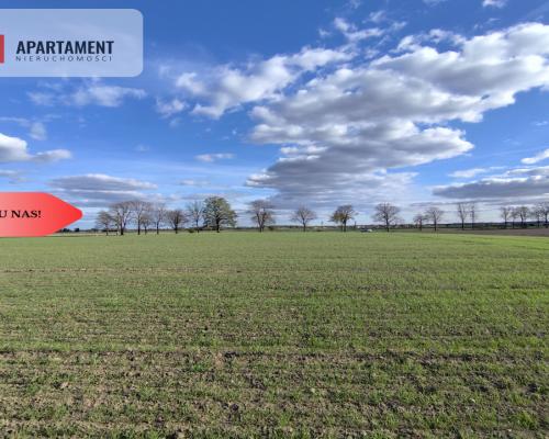 Działki budowlane w Wiśniewie w okolicy Sępólna!