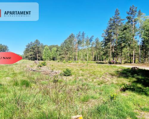 Działka budowlana otoczona lasem. Tylko u nas !!!