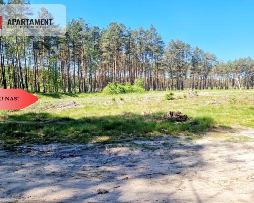 Działka budowlana otoczona lasem. Tylko u nas !!!