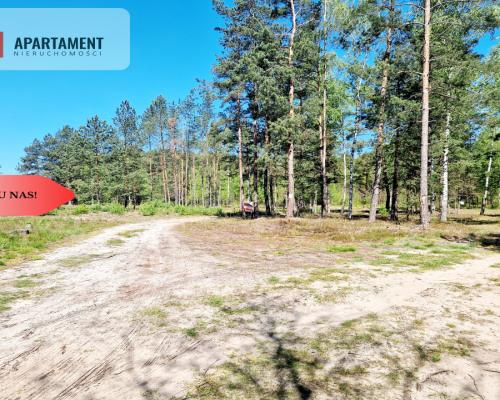 Działka budowlana otoczona lasem. Tylko u nas !!!